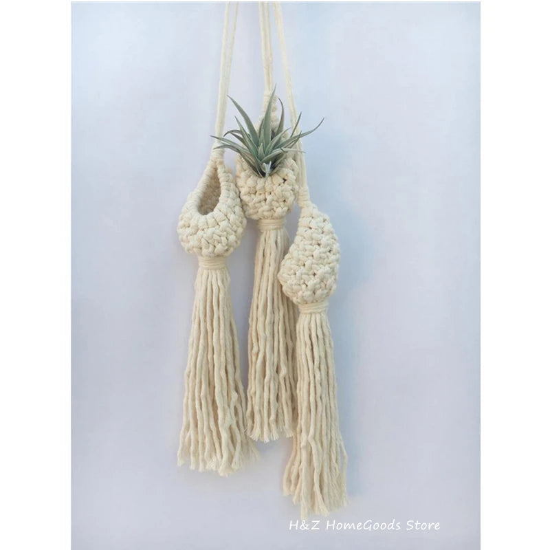 Macrame Rope Plant Wall Hanging