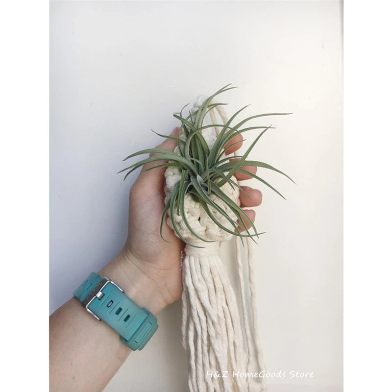 Macrame Rope Plant Wall Hanging