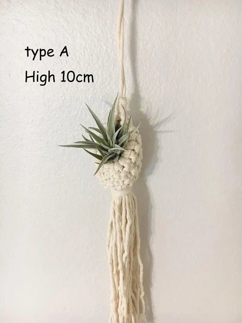 Macrame Rope Plant Wall Hanging