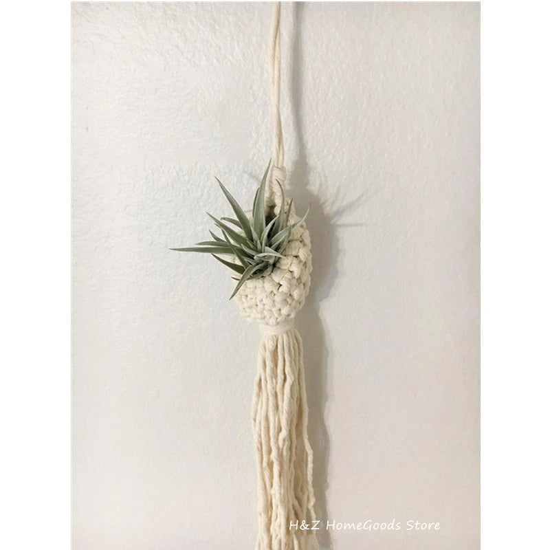 Macrame Rope Plant Wall Hanging